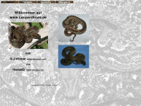 leopardboas.de Webseite Vorschau