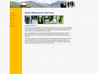 tibet-terrier-mann.de Webseite Vorschau