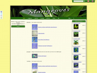 mangroven.at Webseite Vorschau
