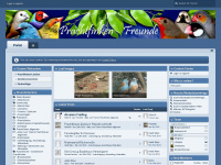 prachtfinken-freunde.de Webseite Vorschau