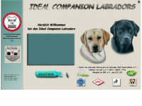idealcompanion-labradors.de Webseite Vorschau