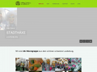 stadthaexe.ch Webseite Vorschau