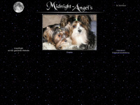 midnight-angels.de Webseite Vorschau