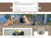 billys-hundebetreuung.de Webseite Vorschau