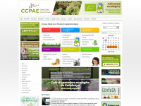 Ccpae.org