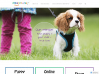 doggonecrazy.ca Webseite Vorschau