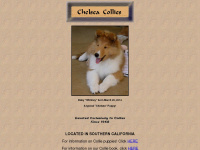 chelsea-collies.com Webseite Vorschau