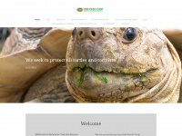 tortoise.com Webseite Vorschau