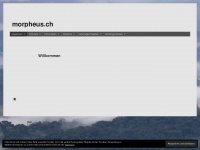 morpheus.ch Webseite Vorschau