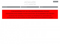 adamek.ch Webseite Vorschau