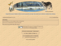 silverwoelfin.de Webseite Vorschau