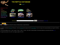 reptiliaweb.org Webseite Vorschau