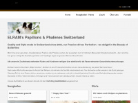 papillon-zh.ch Webseite Vorschau