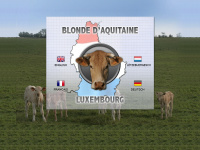 blondeaquitaine.lu Webseite Vorschau