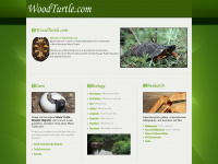 woodturtle.com Webseite Vorschau