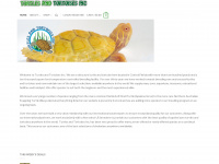 turtlesandtortoises.com Webseite Vorschau