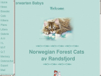 avrandsfjord-waldkatzen.de Webseite Vorschau