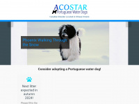 acostarpwds.com Webseite Vorschau