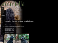 ammiella.se Webseite Vorschau