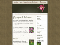 heimische-orchideen.at Thumbnail