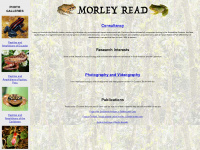 morley-read.com Webseite Vorschau