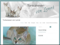 tonkanesen-von-lenne.de Webseite Vorschau