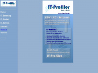 it-profiler.de Webseite Vorschau