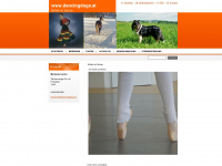 dancingdogs.at Webseite Vorschau