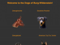 burgwildenstein.at Webseite Vorschau