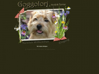 norfolk-terrier-goggolori.de Webseite Vorschau