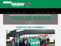 werder-fanclub-bingum.de Webseite Vorschau