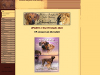african-lionhound.de Webseite Vorschau