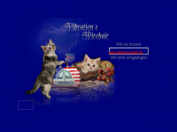 vibrations-cats.de Webseite Vorschau