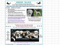 sawahin.de Webseite Vorschau