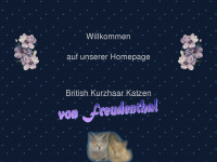 bkh-von-freudenthal.de Webseite Vorschau