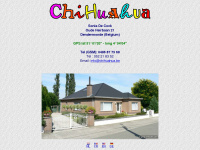 chihuahua.be Webseite Vorschau