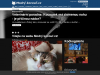 modrykocour.cz Webseite Vorschau