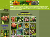 pflanzenfreund.info Webseite Vorschau