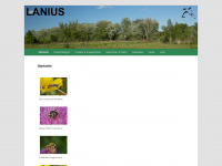 lanius.at Webseite Vorschau