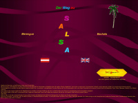 salsa2u.at Webseite Vorschau