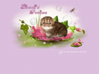 bicocats.de Webseite Vorschau