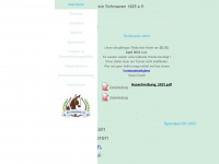 rfv-schneeren.de Webseite Vorschau