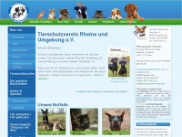tierschutzverein-rheine.de Webseite Vorschau