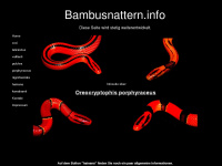 bambusnattern.info Webseite Vorschau