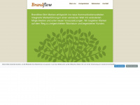 brandflow.com Webseite Vorschau