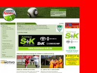 landkreis-fussball.de Webseite Vorschau