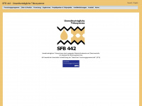sfb442.rwth-aachen.de Webseite Vorschau