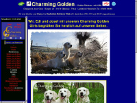 charming-golden.de Thumbnail
