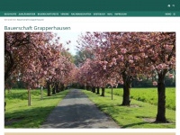 grapperhausen.de Webseite Vorschau
