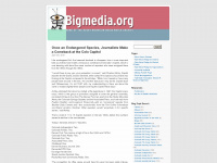 bigmedia.org Webseite Vorschau